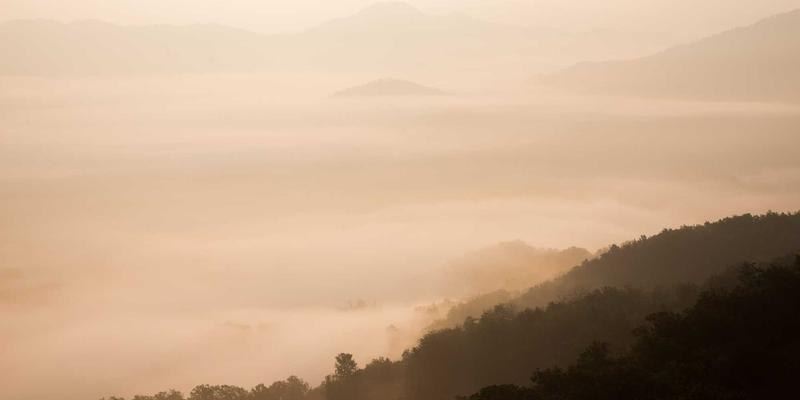 5G网络技术如何重塑企业数字化转型：Web开发、网络技术与云计算的融合与挑战