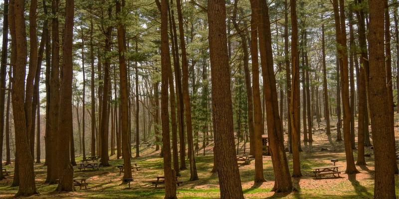 Web开发、网络安全与云计算：驱动现代数字世界的三大核心技术