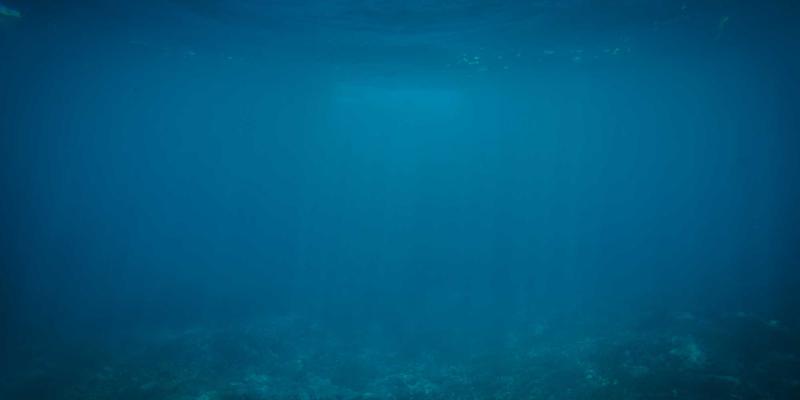 Wi-Fi 7技术解析：多链路操作与超高吞吐量如何变革编程与Web开发