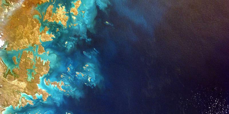 从代码到智能网络：基于AI的意图驱动自动化运维实战指南