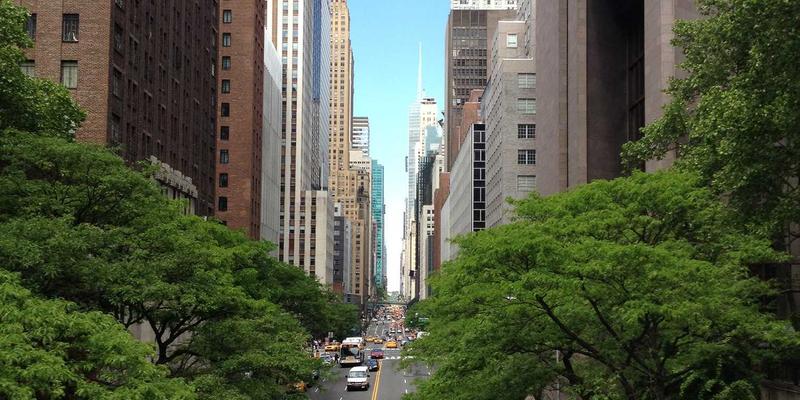 容器网络接口深度对比：Calico、Cilium与Flannel选型指南