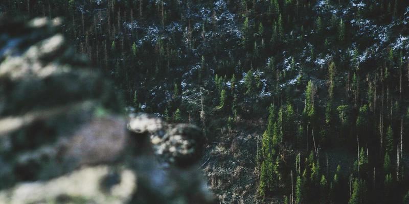 网络人工智能（NetAI）如何革新流量预测与异常检测？关键技术与实践分享