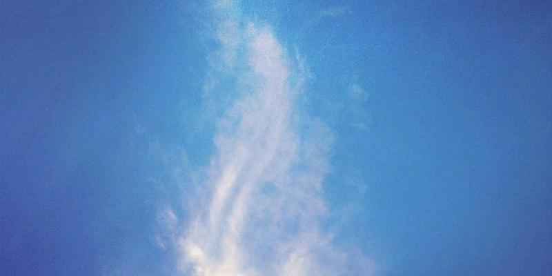 网络技术17：开源项目如何重塑网络安全与编程教育新生态