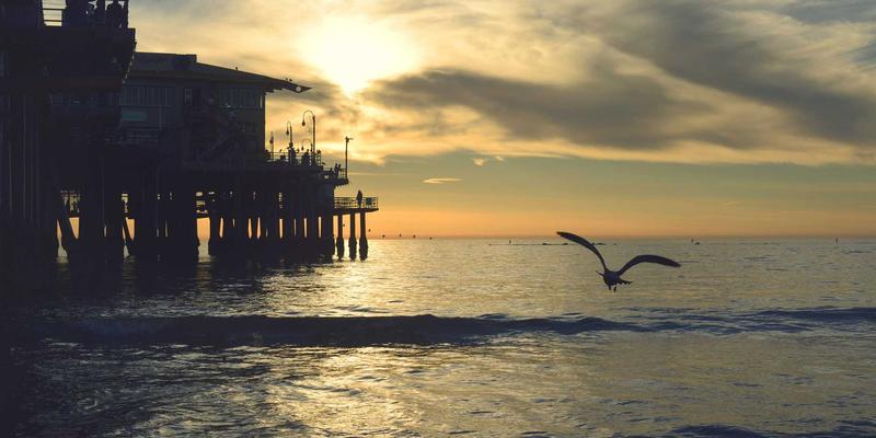 网络技术23：开源项目、编程教程与资源分享的黄金时代