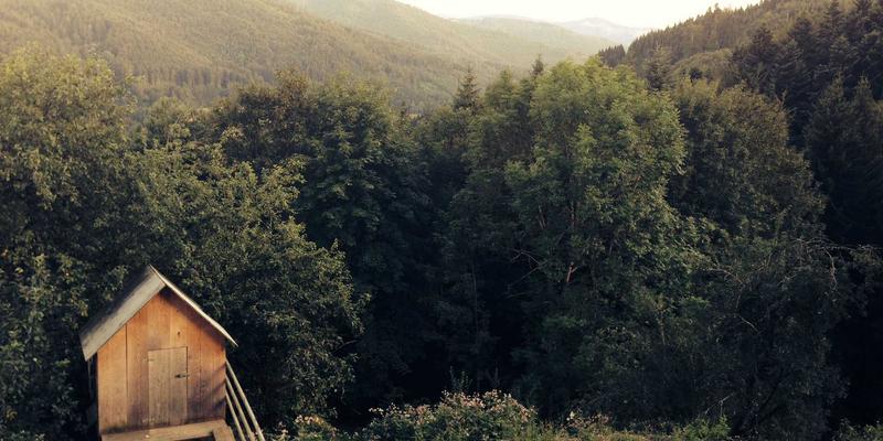 网络技术91：从编程教程到Web开发实战的进阶之路