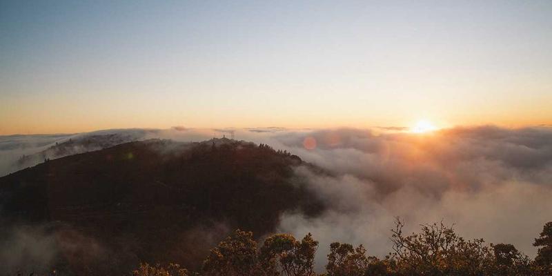 网络技术新浪潮：开源项目如何重塑现代Web开发