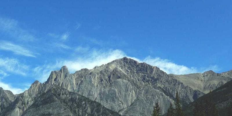 超融合基础设施（HCI）网络优化实战指南：提升Web开发与资源分享性能的关键策略