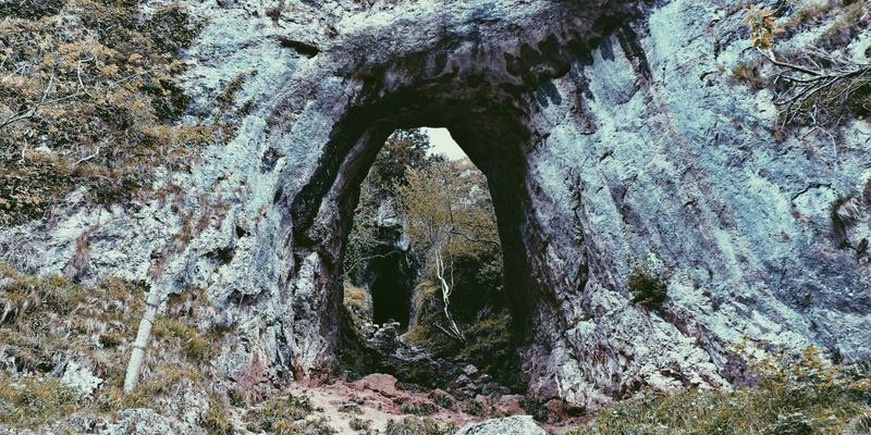 软件定义网络（SDN）如何重构数据中心架构：资源分享、网络技术与开源项目的融合革命